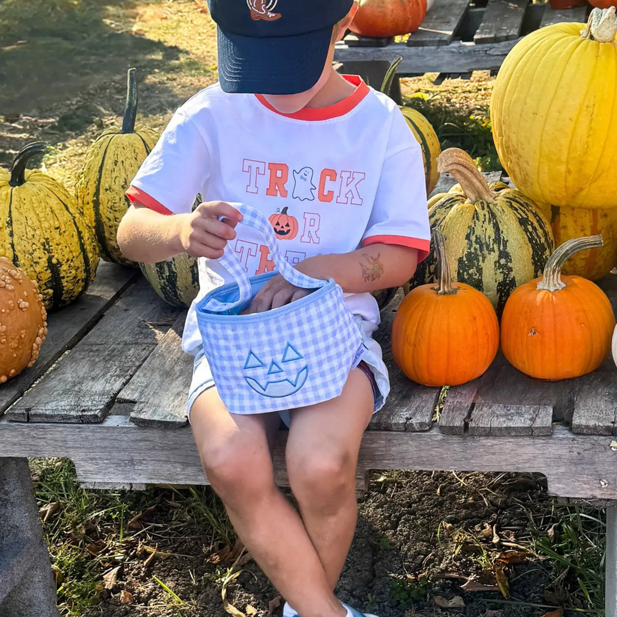 Petite Pumpkin Tote