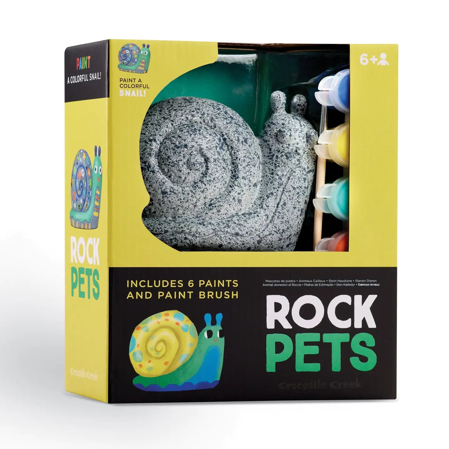 Rock Pet Snail