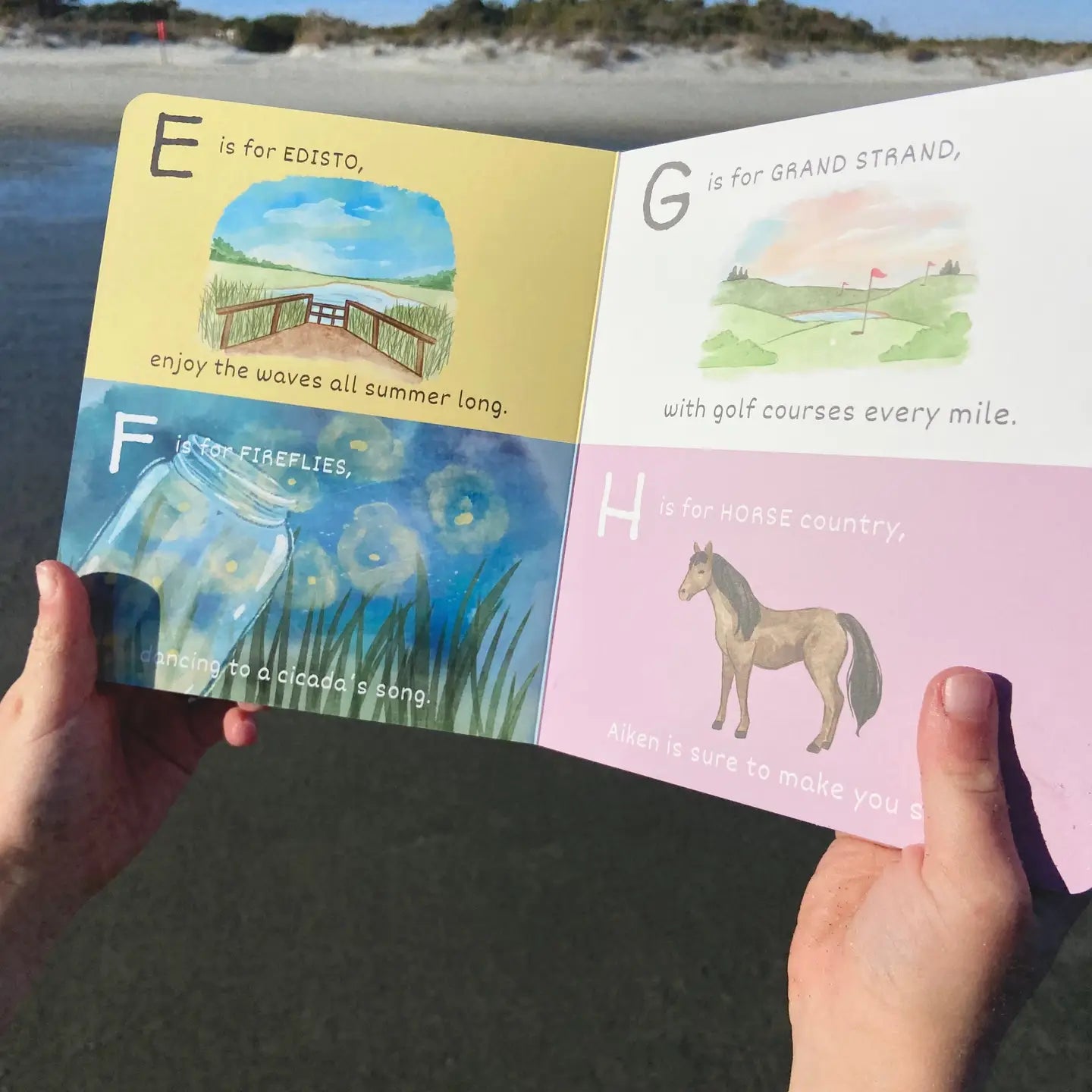 The ABC's Of South Carolina