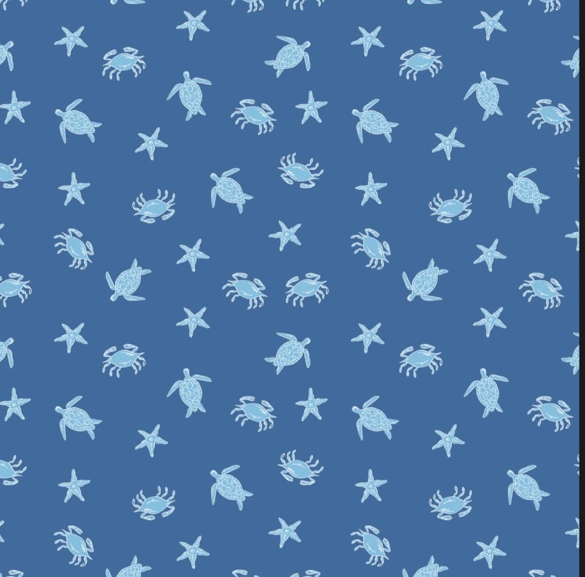 James Swim Boys Sea & Stripes