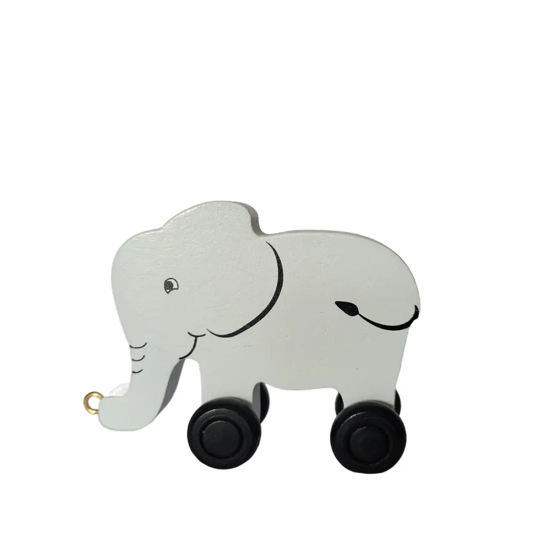 Name Train Elephant