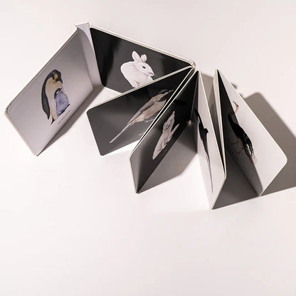 Black & White Contrast Baby Book