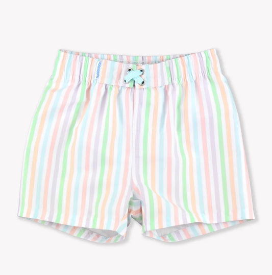 Pale Rainbow Stripe Swim Trunks
