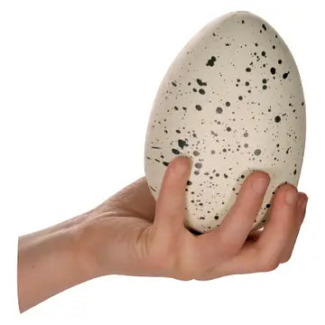 Ginormous Hatchin' Grow Dino Egg