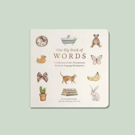 Our Big Book Of Words