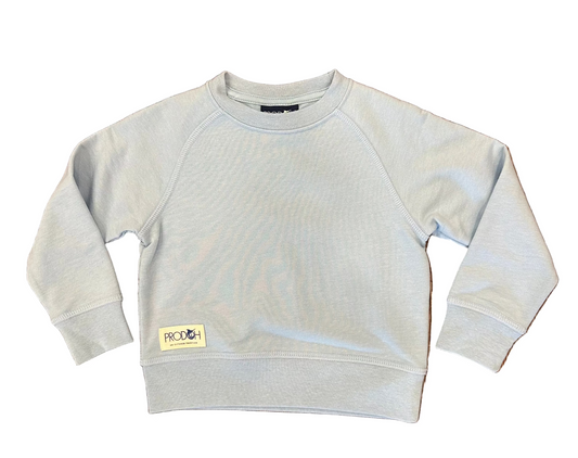 Crew Control Sweatshirt  - Light Blue