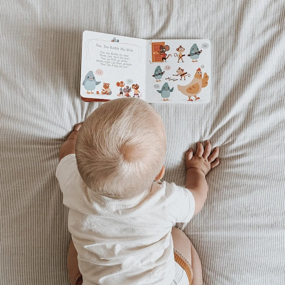 Ditty Bird Book Learning Songs