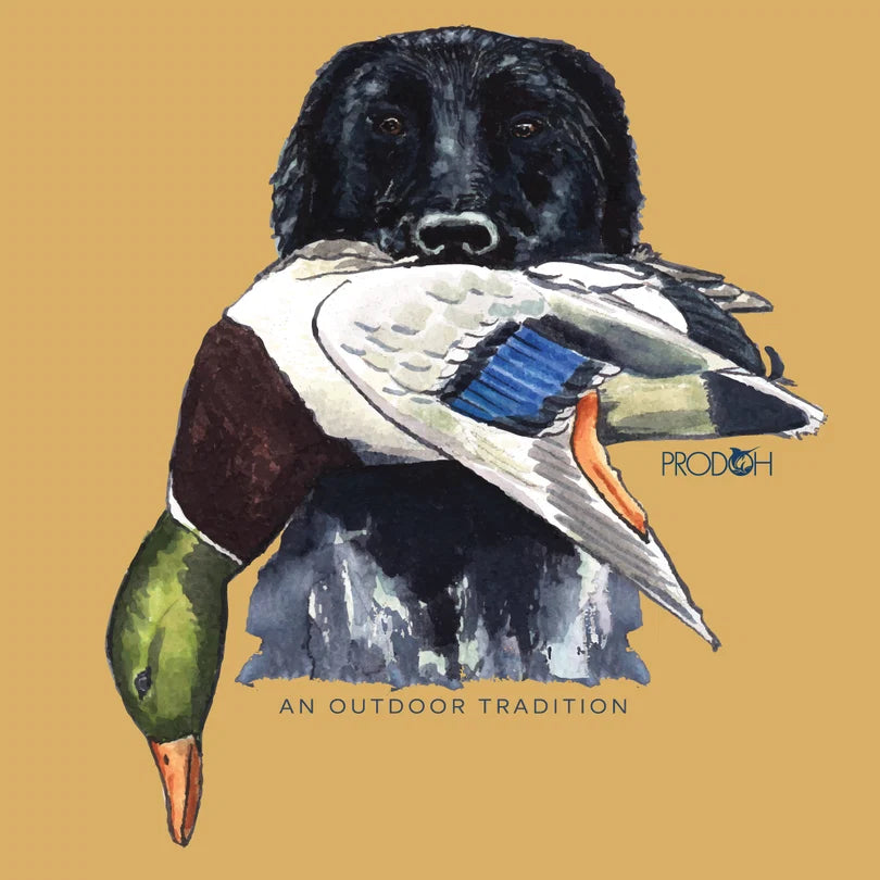 Boys Long Sleeve Tee - Ochre/Hunting Dog