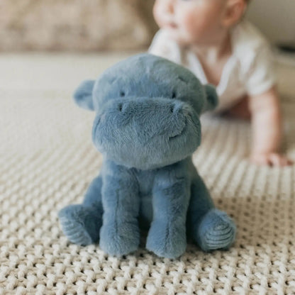Little Henny the Hippo