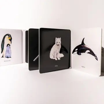Black & White Contrast Baby Book